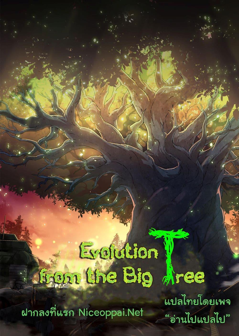 Evolution from the Big Tree 224 01